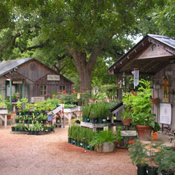 Fredericksburg Herb Farm